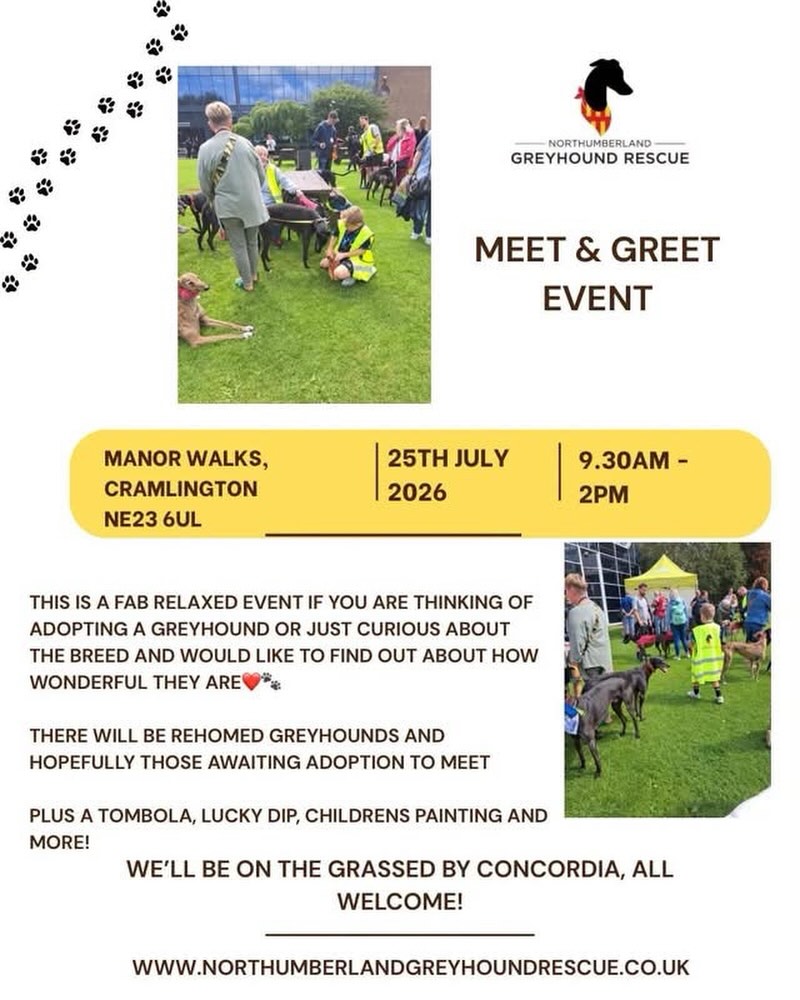 ✨️SAVE THE DATE✨️
Meet & Greet Saturday 25th July
Manor Walks Shopping Centre 
Cramlington 
Full details in the poster😊
@manorwalks 

#greyhoundevent #allwelcome #meetandgreet