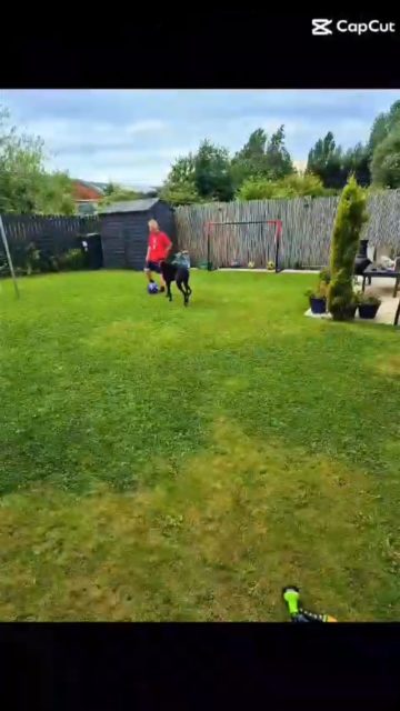 We’ve had Ria (formally Gloria) for three weeks now 🙌 and she’s settling in so well 💓 It has been a big change for us (especially me as I’ve never had a dog before) but she’s so affectionate, calm and fun loving🤩 We couldn’t imagine life without her, thank you Northumberland Greyhound Rescue looking forward to creating more memories 💖

#rehomed #rehomingstory #adoptagreyhound