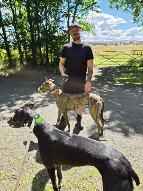 Two of our handsome boys Dec and Rocket, enjoying a stroll today and of course the mandatory cuddles after🥰💙To find out more about adopting call 07538935608

#retiredgreyhounds #ineedahome #walkies #greyhoundlove