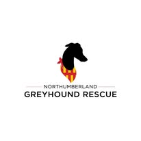 @greyhoundnorthumberland